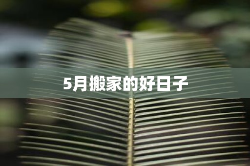 5月搬家的好日子