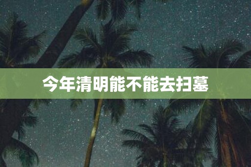 今年清明能不能去扫墓