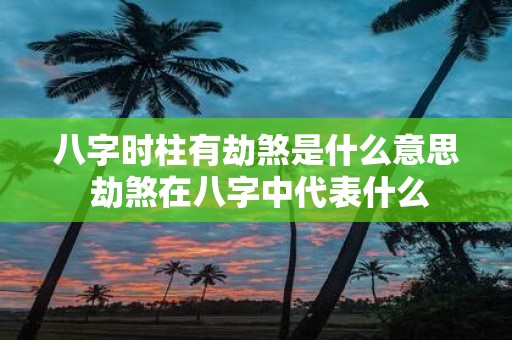 八字时柱有劫煞是什么意思 劫煞在八字中代表什么