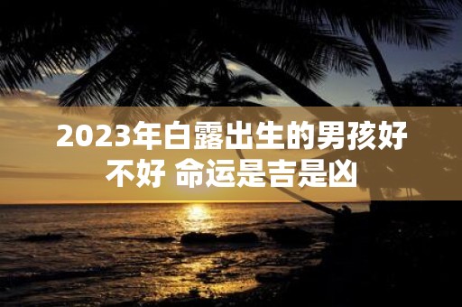 2025年白露出生的男孩好不好 命运是吉是凶