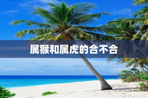 属猴和属虎的合不合