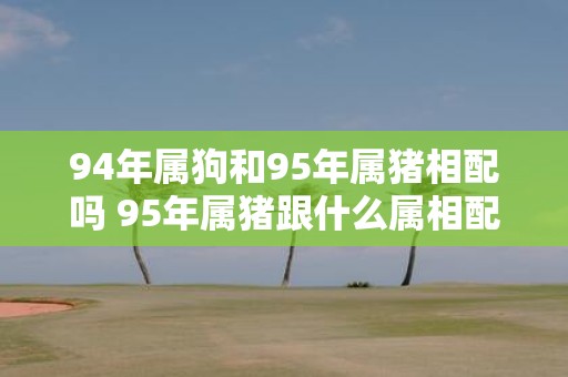 94年属狗和95年属猪相配吗 95年属猪跟什么属相配