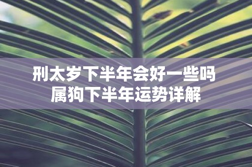刑太岁下半年会好一些吗 属狗下半年运势详解