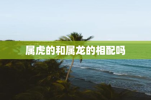 属虎的和属龙的相配吗