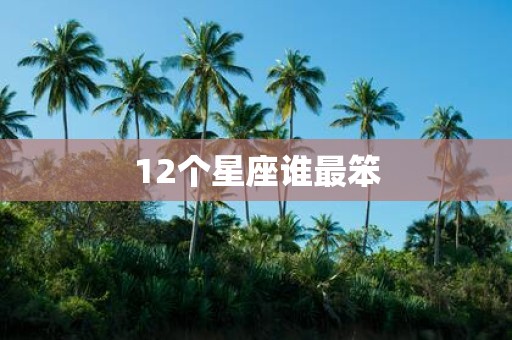 12个星座谁最笨
