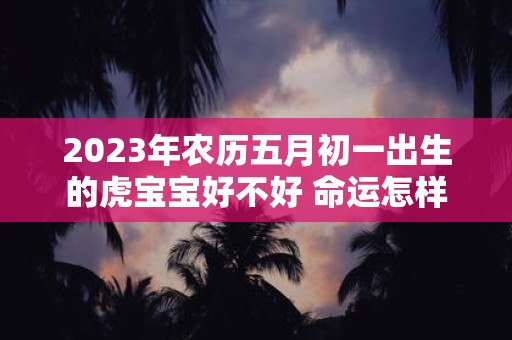 2025年农历五月初一出生的虎宝宝好不好 命运怎样
