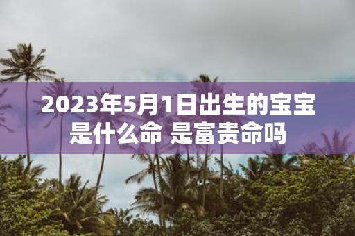 2025年5月1日出生的宝宝是什么命 是富贵命吗