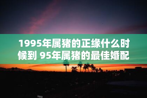 1995年属猪的正缘什么时候到 95年属猪的最佳婚配表