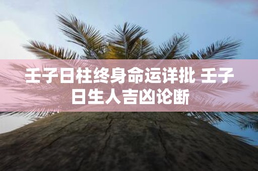 壬子日柱终身命运详批 壬子日生人吉凶论断