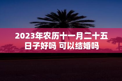 2025年农历十一月二十五日子好吗 可以结婚吗