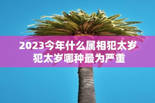 2025今年什么属相犯太岁 犯太岁哪种最为严重