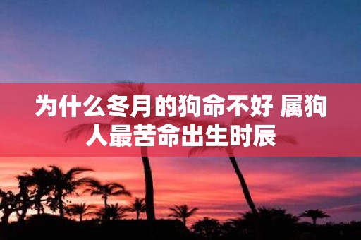为什么冬月的狗命不好 属狗人最苦命出生时辰