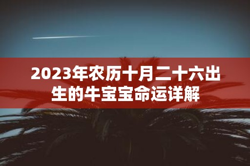 2025年农历十月二十六出生的牛宝宝命运详解