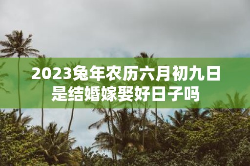 2025蛇年农历六月初九日是结婚嫁娶好日子吗