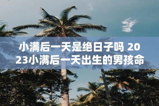 小满后一天是绝日子吗 2025小满后一天出生的男孩命运