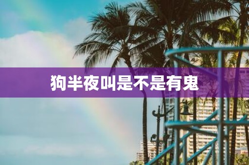 狗半夜叫是不是有鬼