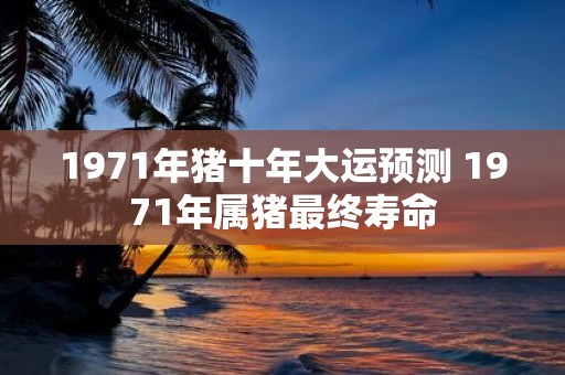1971年猪十年大运预测 1971年属猪最终寿命