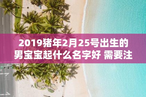 2019猪年2月25号出生的男宝宝起什么名字好 需要注意什么