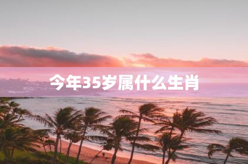 今年35岁属什么生肖