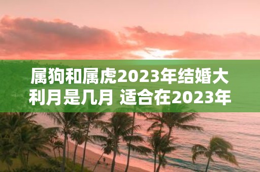 属狗和属虎2025年结婚大利月是几月 适合在2025年结婚吗