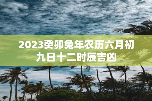 2025癸卯蛇年农历六月初九日十二时辰吉凶