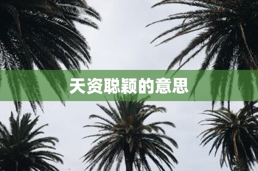 天资聪颖的意思