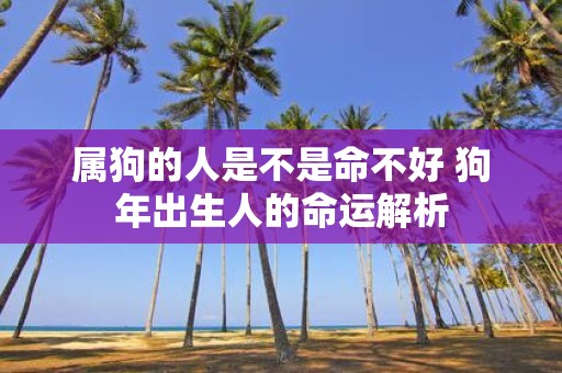 属狗的人是不是命不好 狗年出生人的命运解析