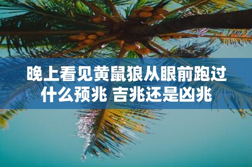 晚上看见黄鼠狼从眼前跑过什么预兆 吉兆还是凶兆