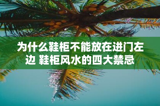 为什么鞋柜不能放在进门左边 鞋柜风水的四大禁忌