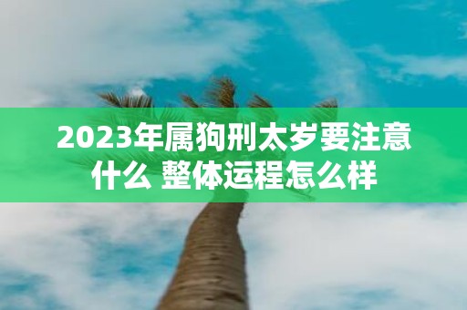 2025年属狗刑太岁要注意什么 整体运程怎么样