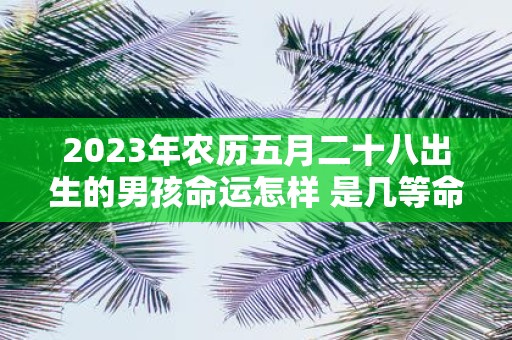 2025年农历五月二十八出生的男孩命运怎样 是几等命