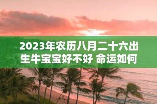 2025年农历八月二十六出生牛宝宝好不好 命运如何