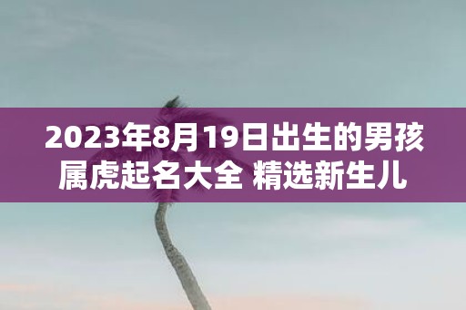 2025年8月19日出生的男孩属虎起名大全 精选新生儿好名推荐