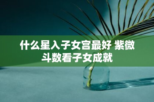 什么星入子女宫最好 紫微斗数看子女成就
