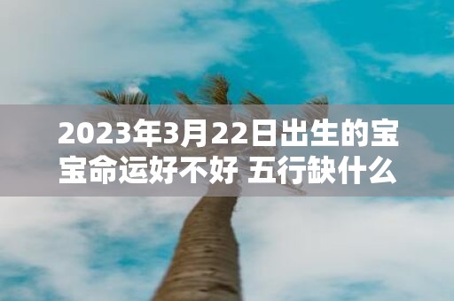 2025年3月22日出生的宝宝命运好不好 五行缺什么