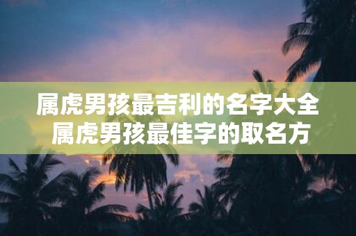 属虎男孩最吉利的名字大全 属虎男孩最佳字的取名方法