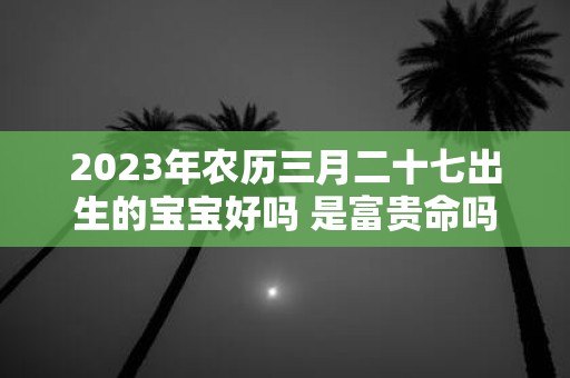 2025年农历三月二十七出生的宝宝好吗 是富贵命吗
