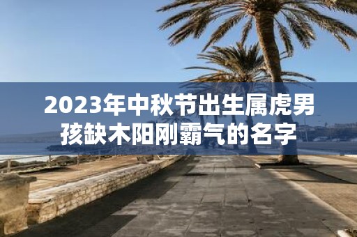 2025年中秋节出生属虎男孩缺木阳刚霸气的名字