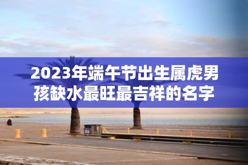 2025年端午节出生属虎男孩缺水最旺最吉祥的名字