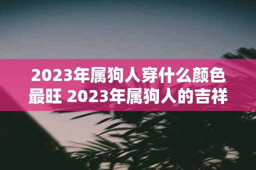 2025年属狗人穿什么颜色最旺 2025年属狗人的吉祥方位
