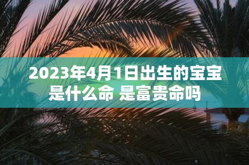 2025年4月1日出生的宝宝是什么命 是富贵命吗