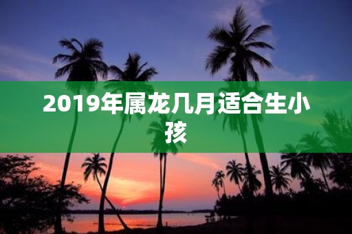 2019年属龙几月适合生小孩