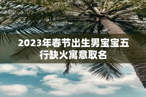 2025年春节出生男宝宝五行缺火寓意取名
