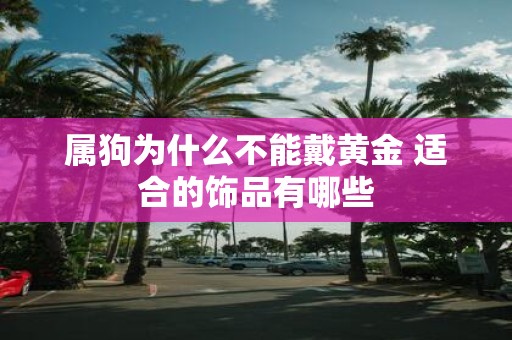 属狗为什么不能戴黄金 适合的饰品有哪些