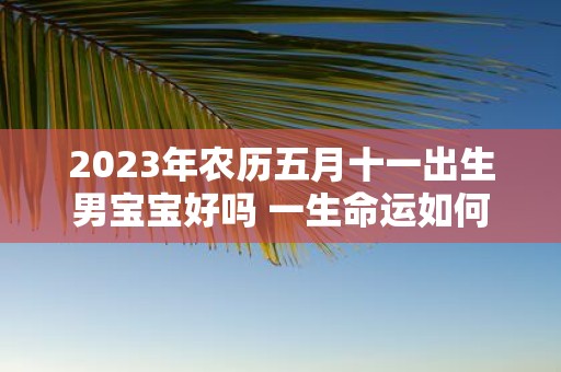 2025年农历五月十一出生男宝宝好吗 一生命运如何