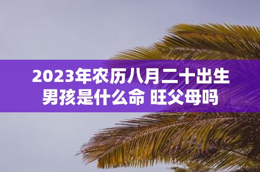 2025年农历八月二十出生男孩是什么命 旺父母吗