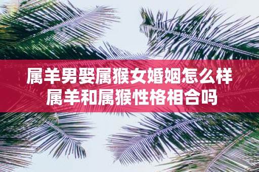 属羊男娶属猴女婚姻怎么样 属羊和属猴性格相合吗