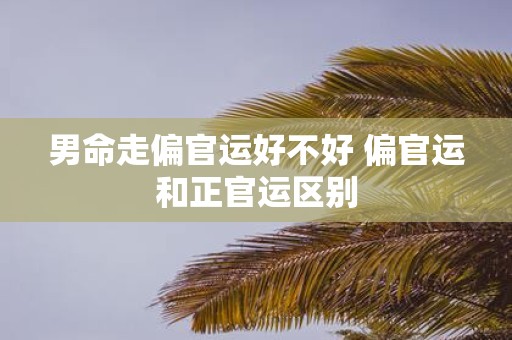 男命走偏官运好不好 偏官运和正官运区别