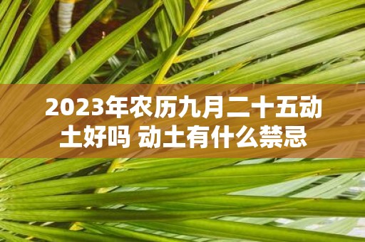 2025年农历九月二十五动土好吗 动土有什么禁忌