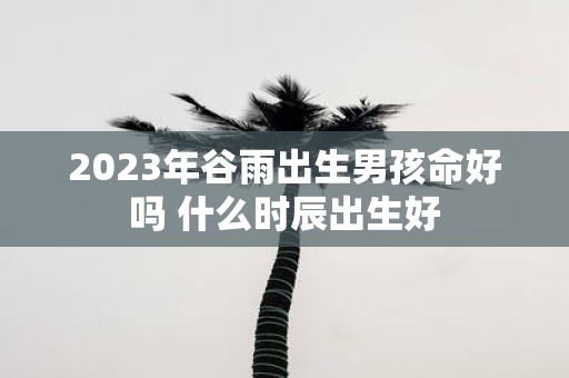 2025年谷雨出生男孩命好吗 什么时辰出生好